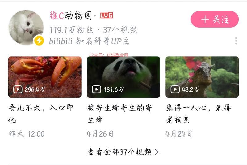 B站去年就有关注过的，…#情报-搞钱情报论坛-网创交流-优选副业网